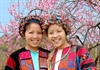 Đầu tư gần 223 tỉ đồng bảo tồn trang phục truyền thống các dân tộc thiểu số Việt Nam