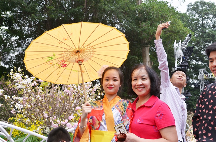 Lễ hội hoa anh đào Nhật Bản - Hà Nội 2019 kéo dài thêm 1 ngày