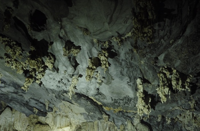 Phát hiện thêm 58 hang động tại VQG Phong Nha – Kẻ Bàng