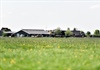 Diện tích mỗi trang trại của nông dân Cô Gái Hà Lan bằng 140 sân vận động: Họ đã làm điều đó như thế nào?