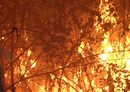 Nghệ An: Người dân trắng đêm dập lửa cháy cứu rừng thông