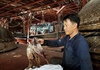 Gần 1.000 tấn mực khô của ngư dân ở Quảng Nam bị tồn kho: Địa phương “cầu cứu” Trung ương
