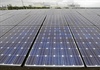 Australia đang dẫn đầu thế giới về phát triển năng lượng tái tạo