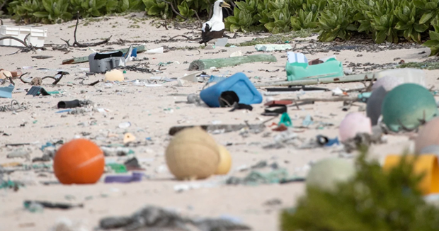 Kêu gọi giải cứu hòn đảo di sản thế giới khỏi rác thải nhựa