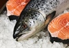 5 sai lầm khi ăn cá cực kì tai hại nhiều người mắc phải