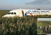 Nga: Máy bay phải đáp xuống cánh đồng vì chim chui vào động cơ