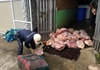 Lâm Đồng: Phạt hơn 100 triệu đồng cơ sở trữ 8 tấn thịt heo “bẩn”