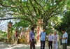 Khu rừng nguyên sinh và hệ thống di tích ở Trung Sơn (Hoà Vang - Đà Nẵng): Bỏ dự án, giữ di tích và thiên nhiên