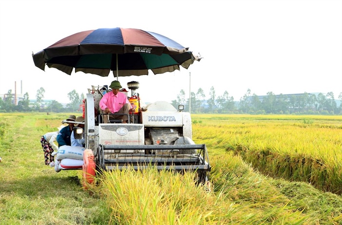 Xây dựng thương hiệu gạo Việt Nam: Nâng vị thế, tăng giá trị