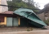 Yên Bái: Hơn 100 ngôi nhà bị tốc mái do mưa đá và dông lốc