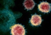 WHO cảnh báo virus Sars CoV-2 có thể không bao giờ biến mất
