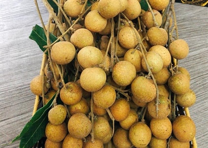 Hoa quả Việt Nam xuất khẩu trở lại sang Mỹ