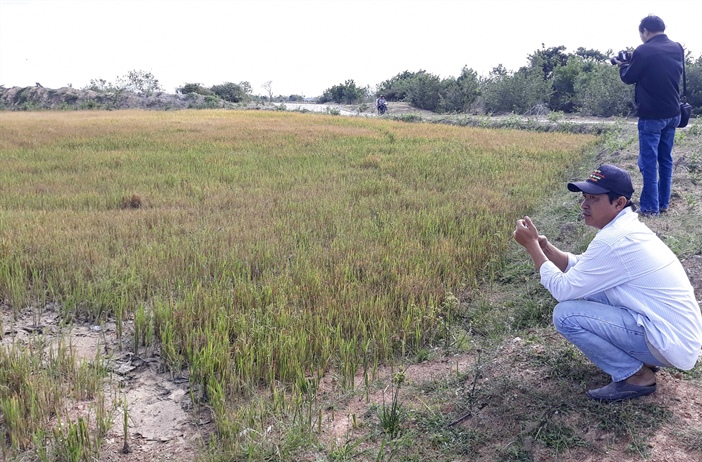 Ninh Thuận: Chính quyền cắt nước, 200 ha đất nông nghiệp khô như ngói