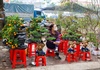 Nam Định: Chợ hoa Xuân vắng khách do ảnh hưởng của dịch Covid-19