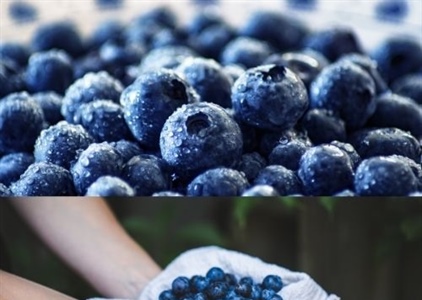 6 loại trái cây thông thường  tốt cho sức khỏe ít ai biết