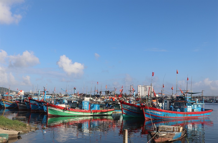 Đà Nẵng: Quy hoạch nghề cá theo hướng thương mại dịch vụ kết hợp du lịch