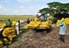 ĐBSCL lập Tổ công tác phản ứng nhanh tiêu thụ lúa gạo cho nông dân