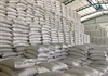 Kiên Giang: Đề nghị hỗ trợ gạo cho gần 152.000 người gặp khó khăn do Covid-19