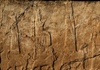 Phát hiện bức phù điêu khổng lồ và xưởng sản xuất rượu 2.700 năm tuổi