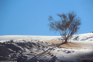 Tuyết rơi bất thường, phủ trắng xóa ở vùng đất khô nóng nhất thế giới