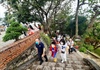 Khánh Hòa: Đón hơn 98.000 lượt khách du lịch dịp đầu năm