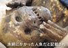 Vén màn bí ẩn đằng sau xác ướp “nàng tiên cá” tại Nhật Bản