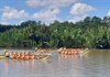 TP.HCM tổ chức giải đua thuyền truyền thống