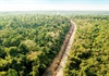 Đề xuất xây dựng tuyến đường đi xuyên vùng lõi Khu bảo tồn Thiên nhiên - Văn hóa Đồng Nai: Lo ngại tác động nghiêm trọng đến nhiều mặt