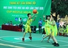 95 đội dự Giải bóng rổ dành cho học sinh tiểu học Hà Nội