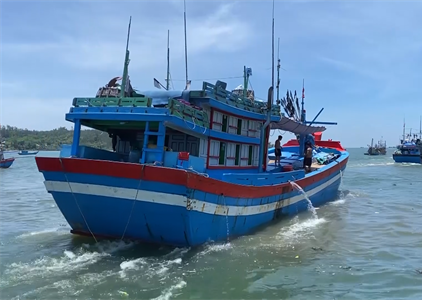 Giá dầu giảm, ngư dân Quảng Ngãi phấn khởi vươn khơi