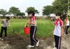 Hà Nội: Các trường học huyện Thanh Trì ra quân phòng, chống dịch sốt xuất huyết