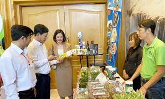 Ninh Thuận xúc tiến, quảng bá du lịch tại Hà Nội