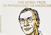 Nobel Y sinh tôn vinh phát hiện về quá trình tiến hóa của loài người