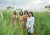Đà Nẵng: Người dân, du khách hào hứng “check-in” mùa lau trắng