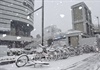 Nhật Bản đối phó với tuyết rơi dày đặc