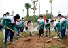 Phú Thọ phát động Tết trồng cây “Đời đời nhớ ơn Bác Hồ” Xuân Quý Mão
