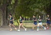 Quảng bá du lịch Hà Nội qua Giải chạy VPBank Hanoi International Marathon 2023