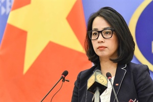 Việt Nam lên tiếng về khả năng nâng cấp quan hệ với Hoa Kỳ
