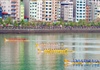 Giải đua thuyền rồng Cát Hải tranh Cúp Báo Hải Phòng 2023