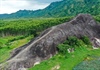 Hai khối đá hình con voi nổi tiếng ở Đắk Lắk