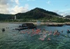 Gần 250 VĐV tham gia Giải bơi vượt biển Lý Sơn