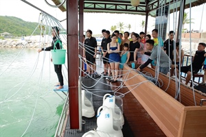 Sẽ vận hành tổ hợp du lịch với công suất 10.000 khách trên vịnh Nha Trang