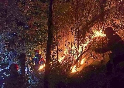 Trắng đêm dập lửa cứu rừng ở Nghệ An