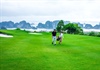 7 năm liên tiếp Việt Nam được vinh danh là Điểm đến golf hàng đầu châu Á