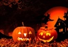 Quả bí đỏ và nét văn hóa trong lễ hội Halloween