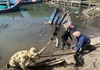 Quảng Ngãi: Ra quân thu dọn 30 xác tàu cá ở cảng cá Sa Huỳnh