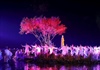 Khai mạc Festival Ninh Bình - Tràng An năm 2023