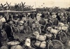 Triển lãm ảnh Thanh Hoá với Chiến dịch Điện Biên Phủ năm 1954